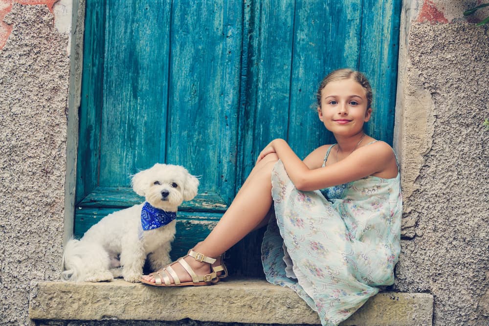 Female dog in Italy