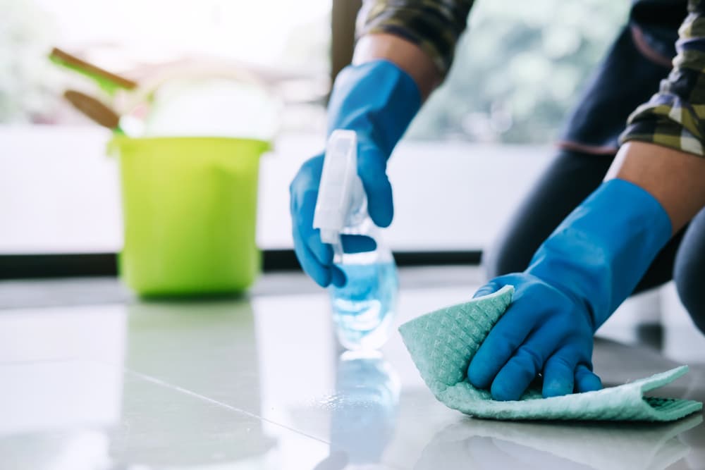 Man cleaning up cat pee at home