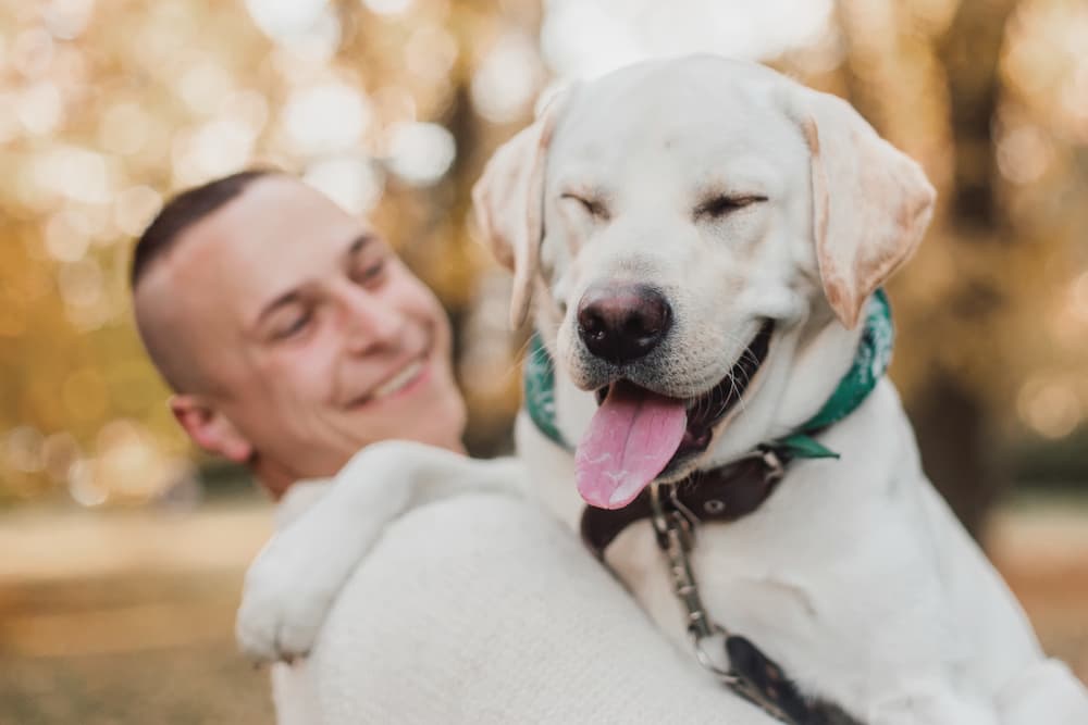 Cute big dog being held by owner, good inspiration for big dog names