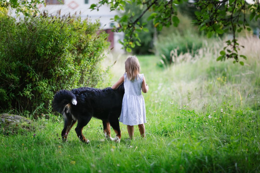 Little girl outside with dog