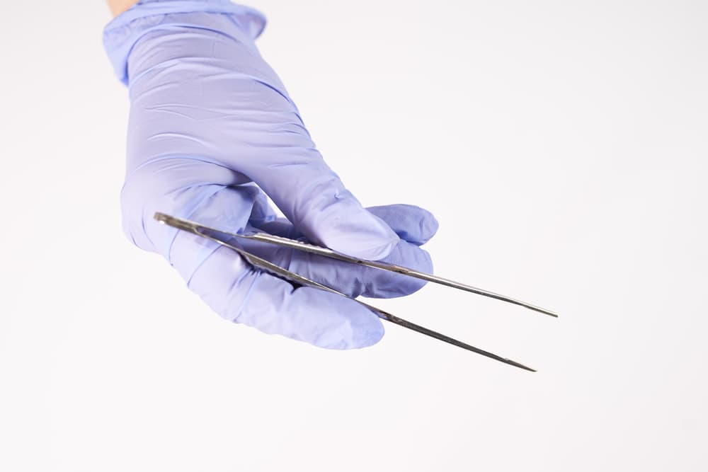 Tools required for removal of ticks on a dog's ears