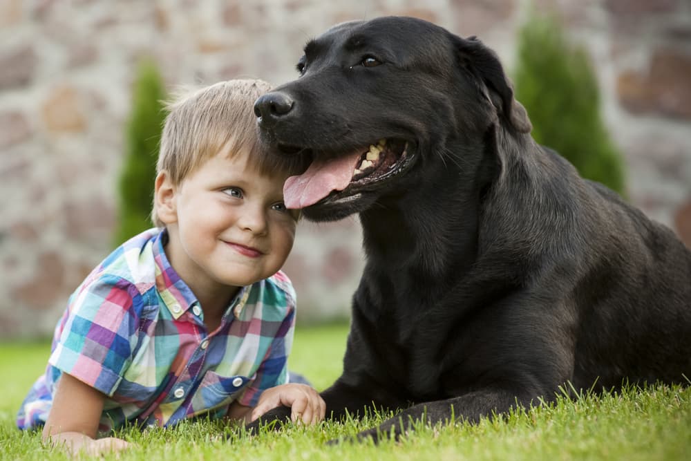 Big dog laying in the grass with kid, good inspiration for big dog names