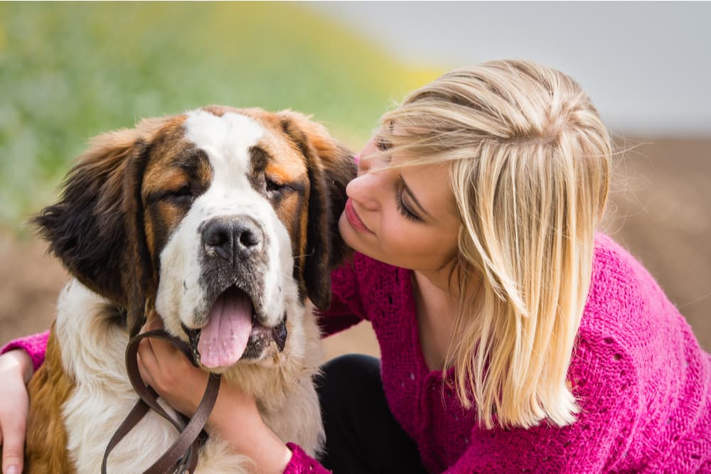 66 Big Dog Names for Larger-Than-Life Pups