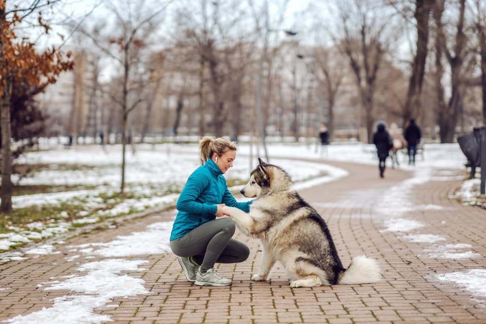 Owner with dog walking on a cold icy pathway