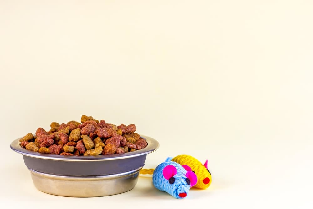 Cat treats in a bowl