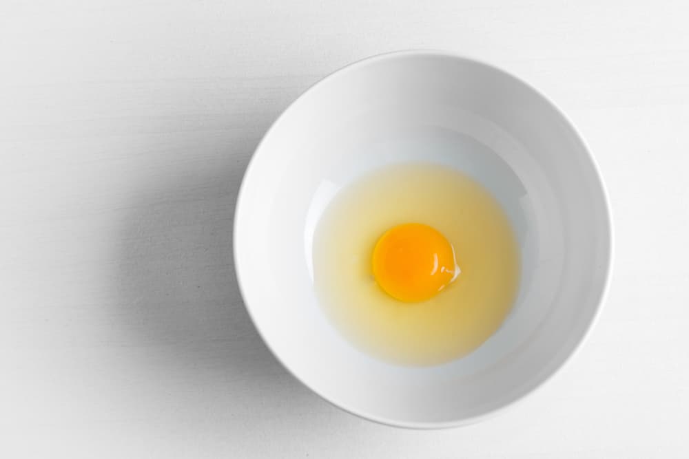 Raw egg in a bow - can cats eat eggs