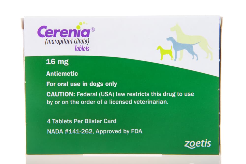 Box of cerenia tablets for dogs