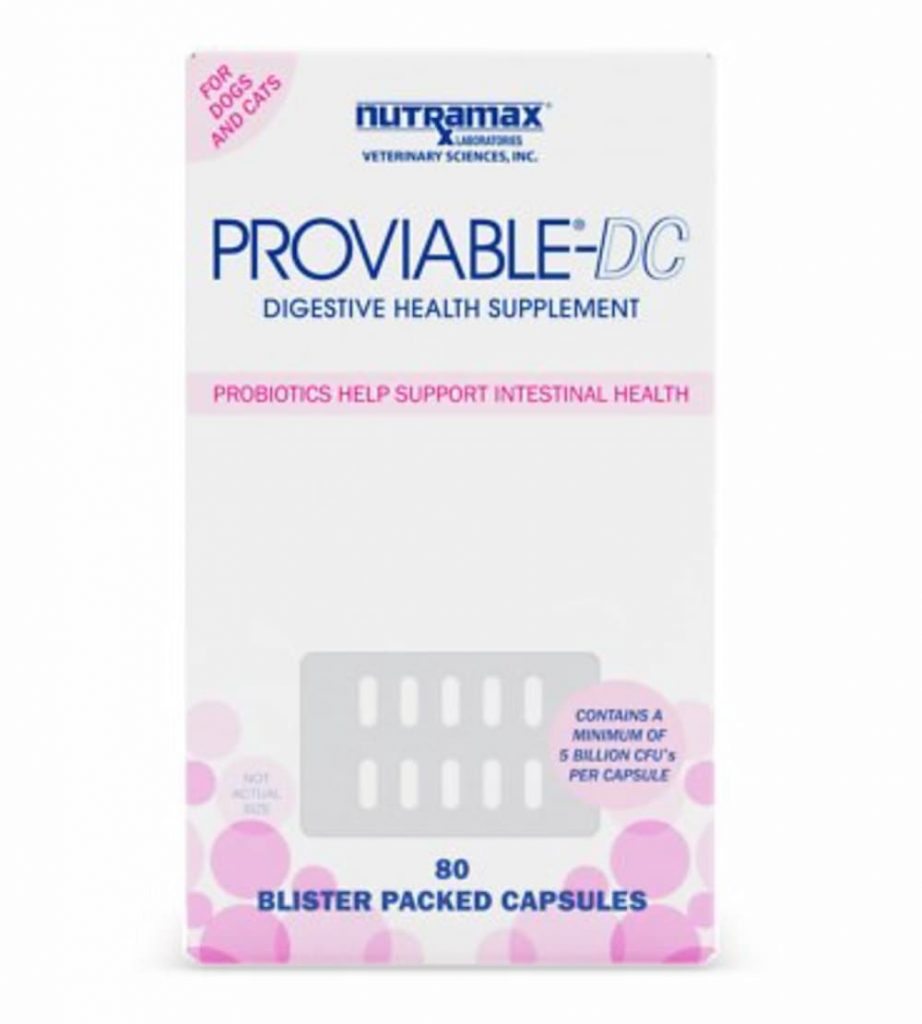 Nutramax Proviable-DC Capsules Digestive Supplement for Cats