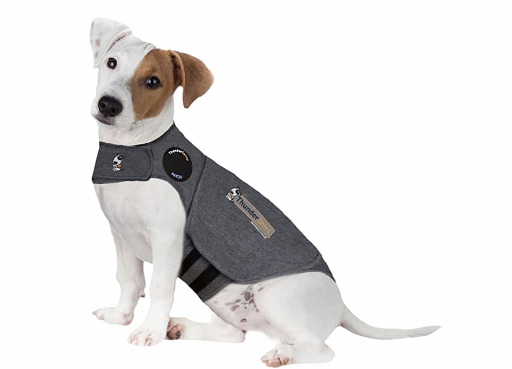 Thundershirt for dogs to fly