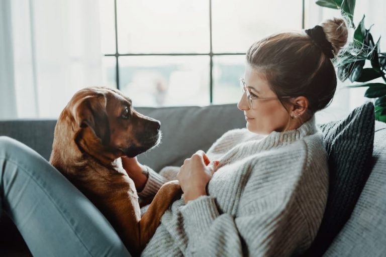 Woman and dog sitting on couch looking at each other