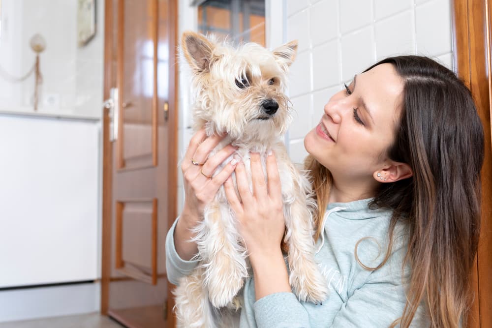Young woman looking at cute dog puppy holding her