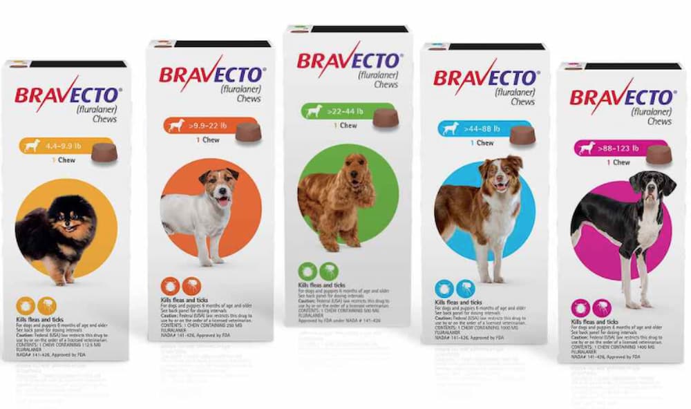 Bravecto Chews