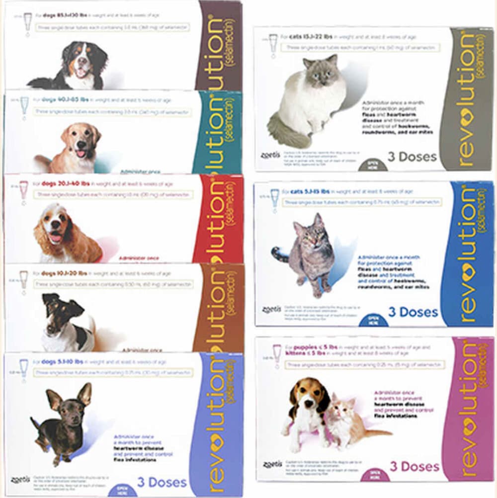 Revolution topical flea medicine for dogs
