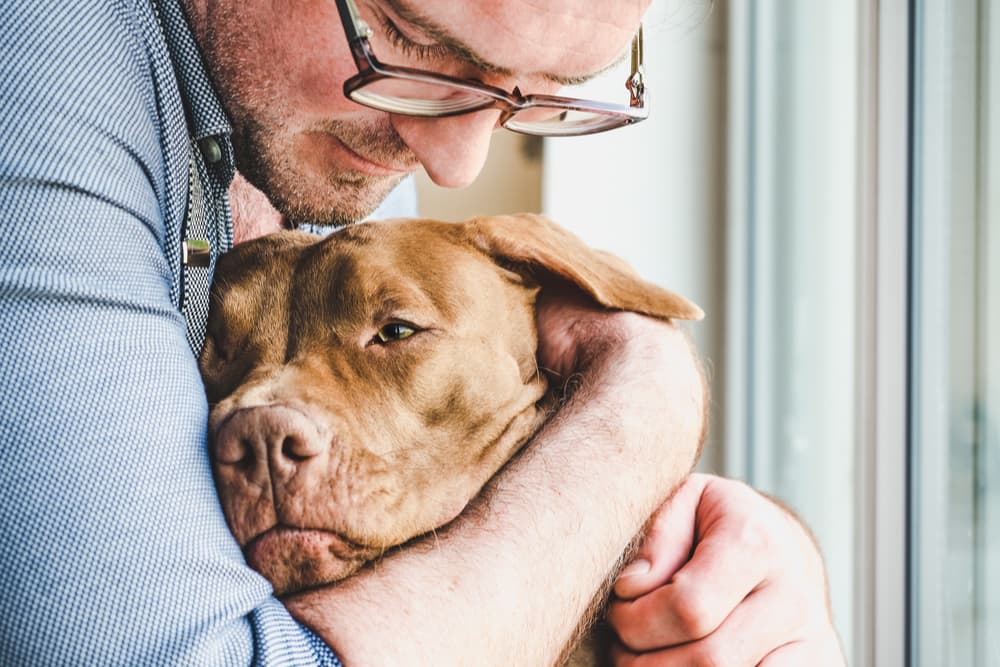 Happy dog and owner at home