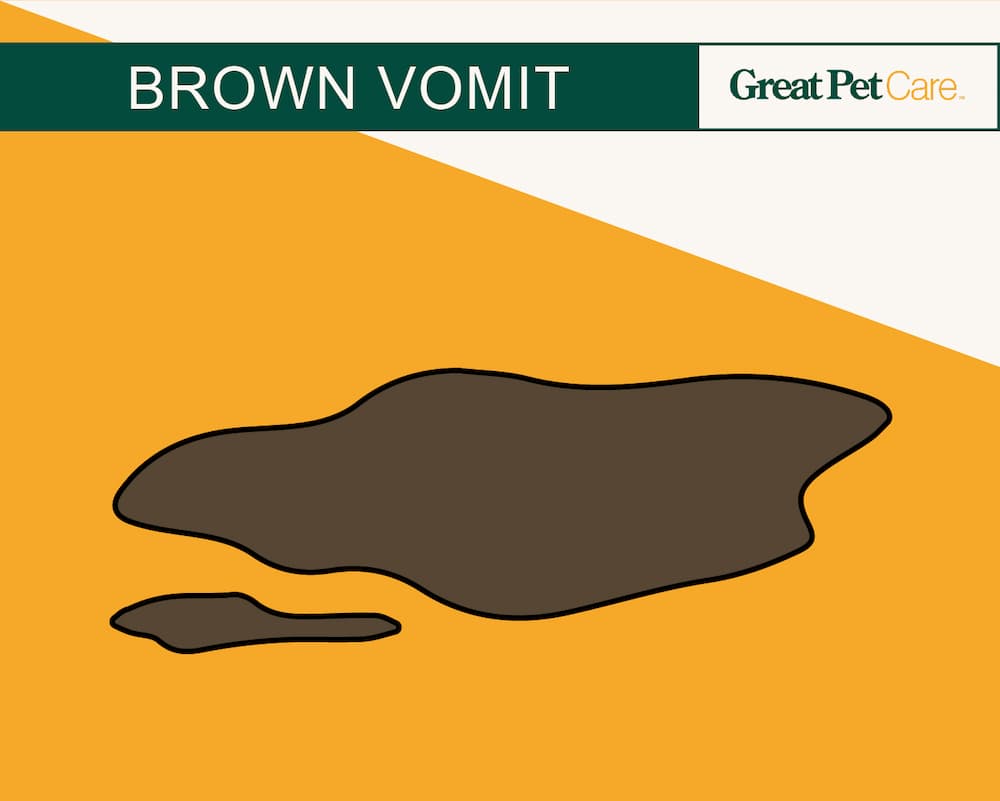 illustration of brown dog vomit