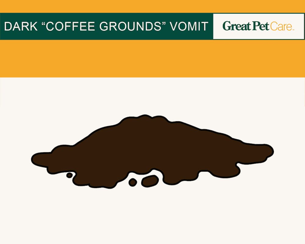 illustration of dark coffee grounds dog vomit