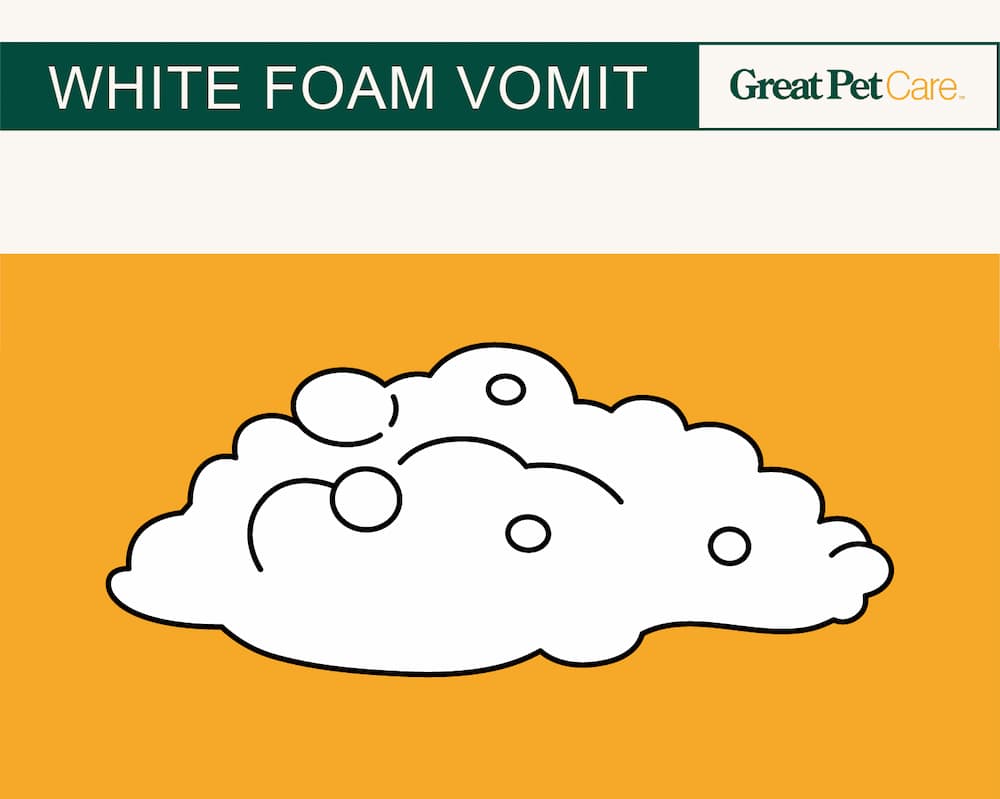 illustration of white foam dog vomit