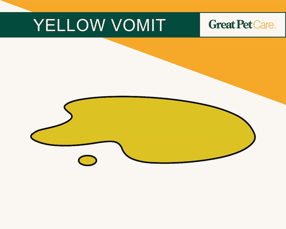 illustration of yellow dog vomit