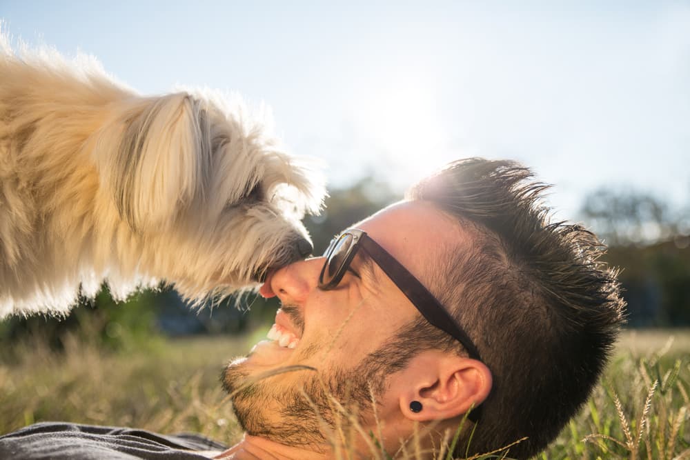 Owner laying with dog outside in the sun wearing sunglasses