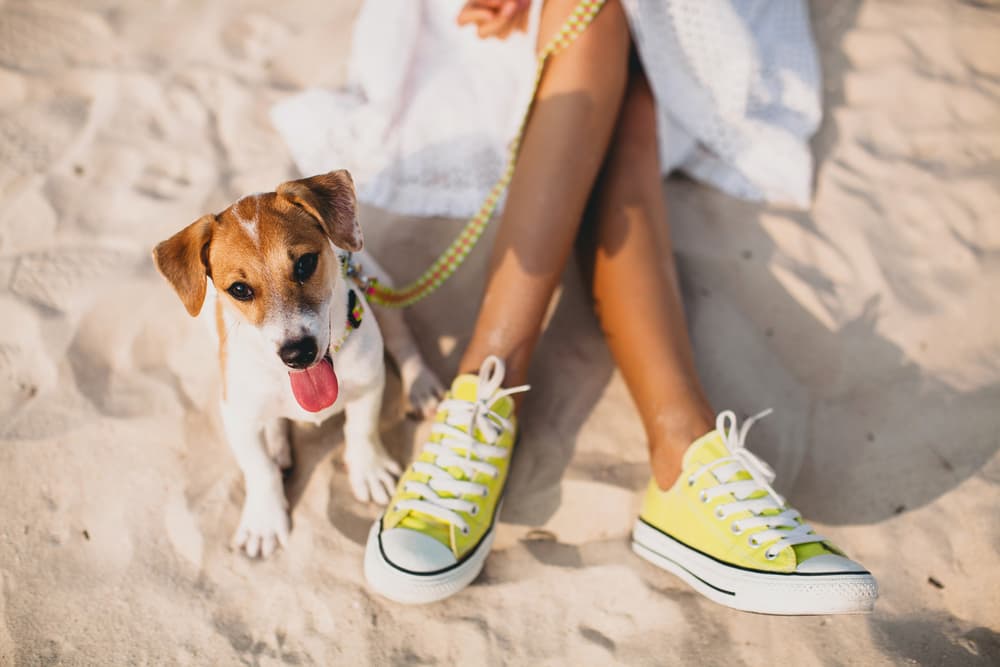 Gal sitting in beach wearing converse next to cute dog