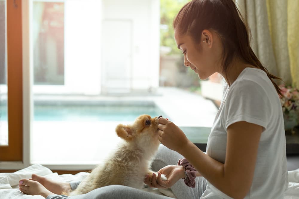 Woman giving dog a treat