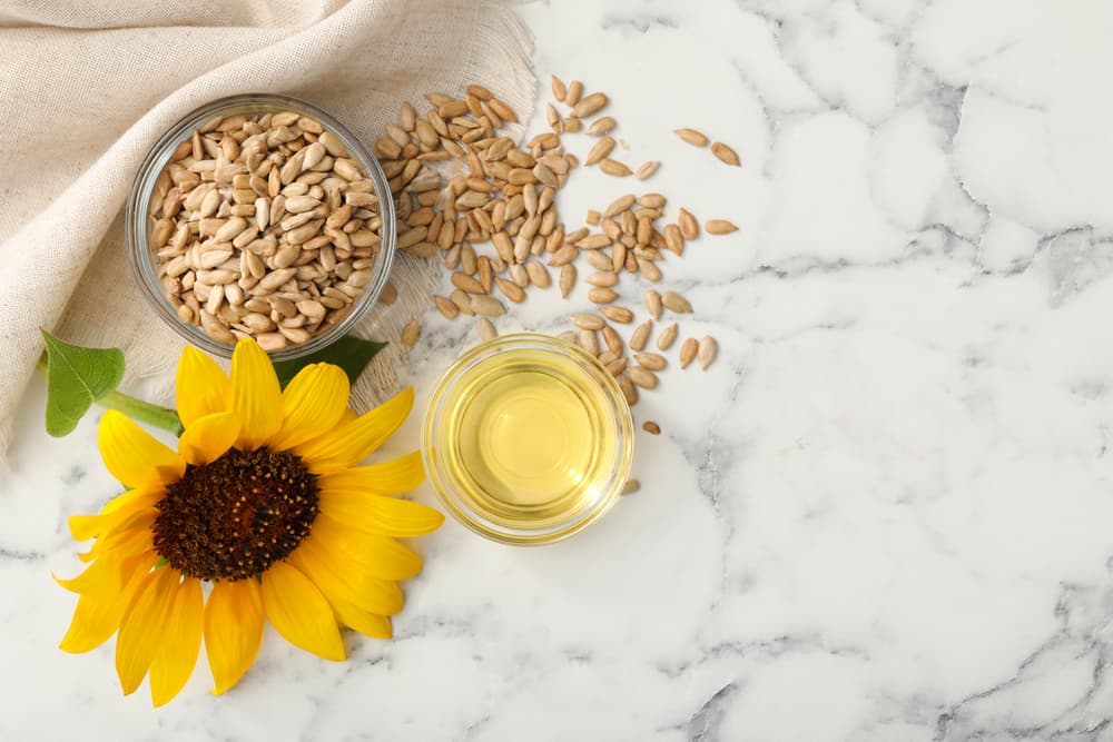Can Dogs Eat Sunflower Seeds?