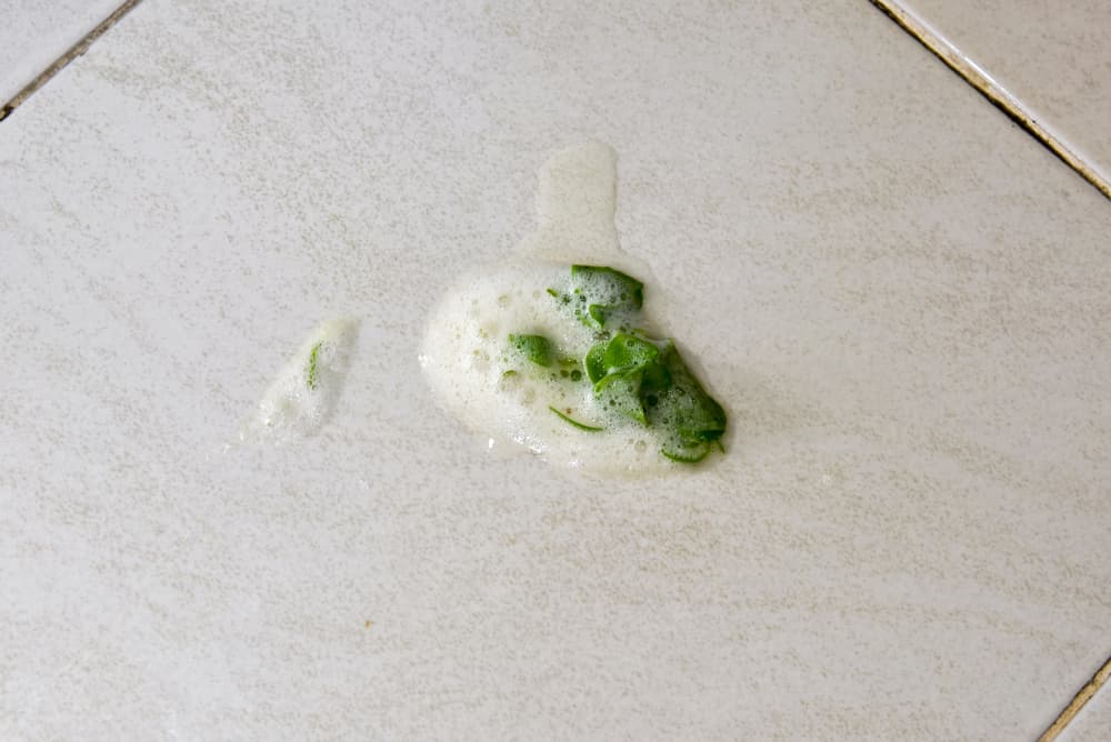 White foam dog vomit