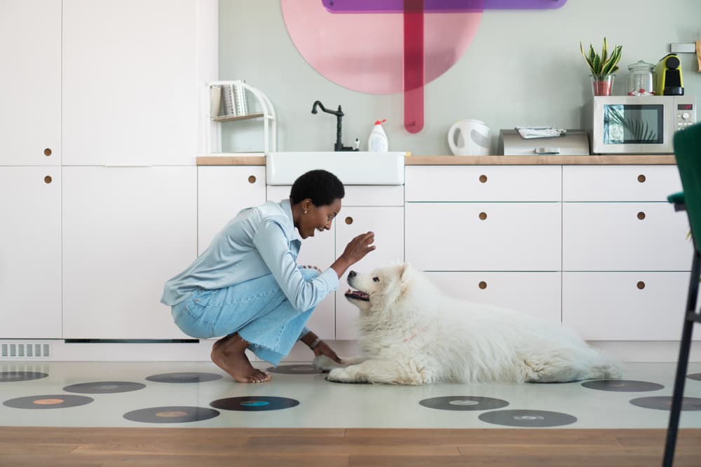 woman in kitchen with dog