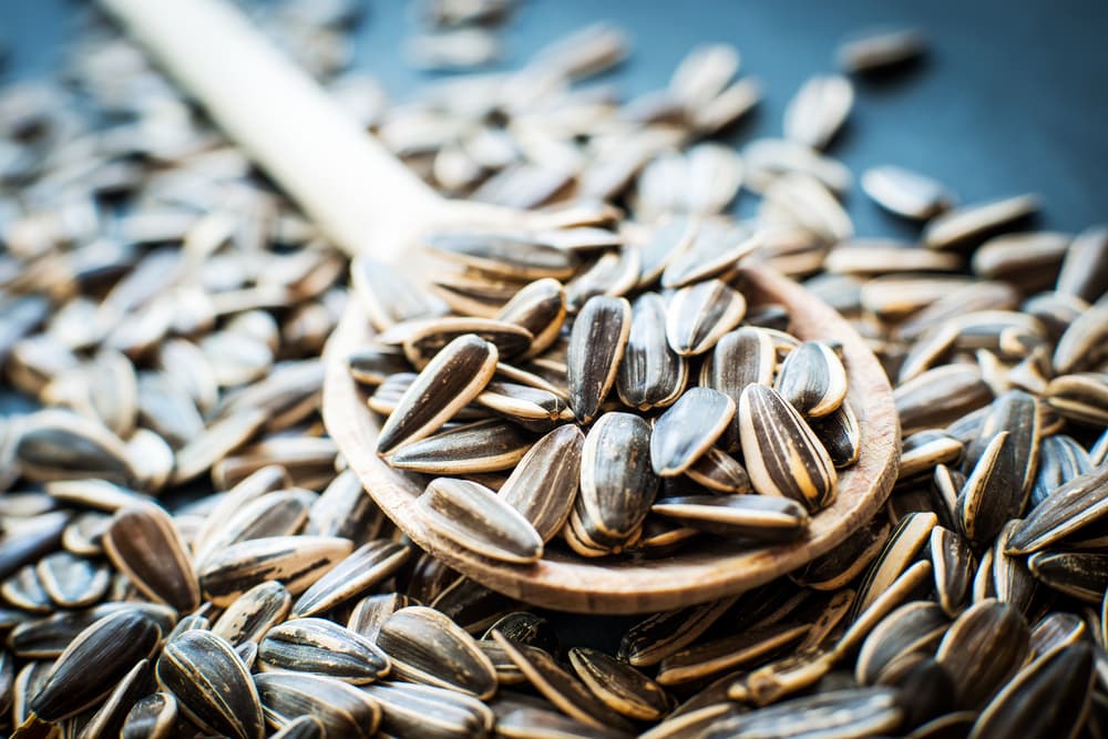 Sunflower seeds with she'll