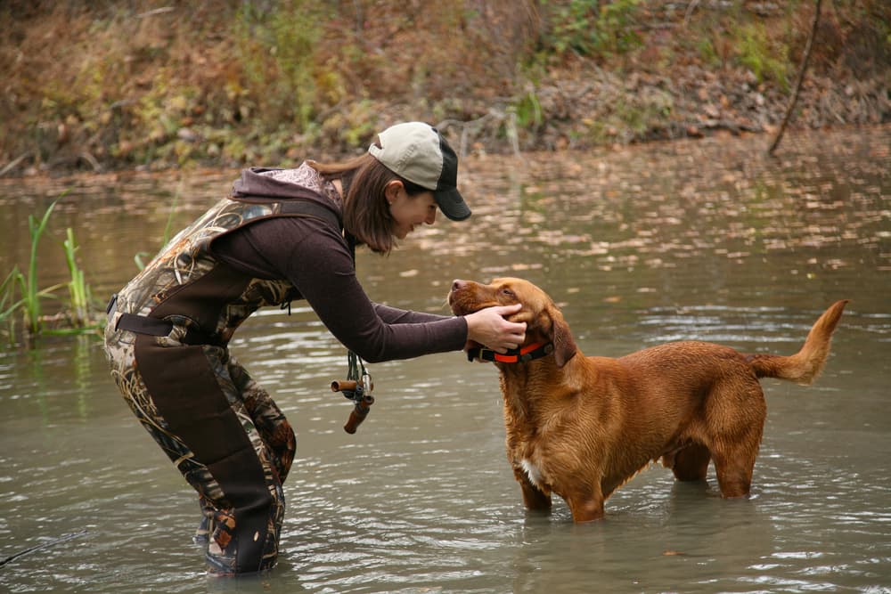 Woman with hunting dog in river