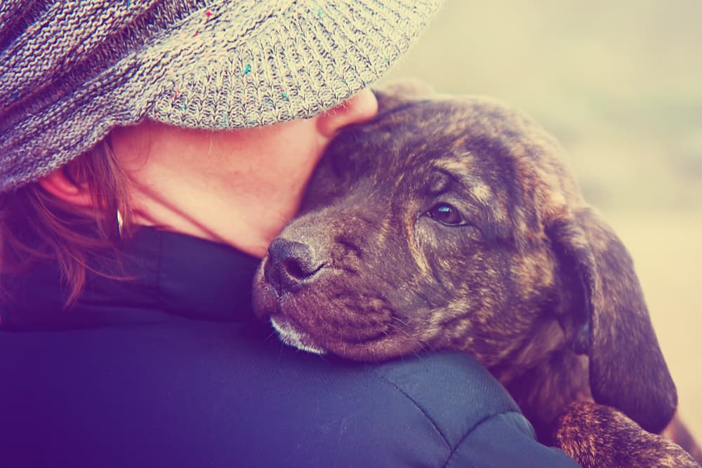 Dog being held by owner