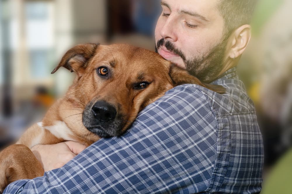 Dog being held