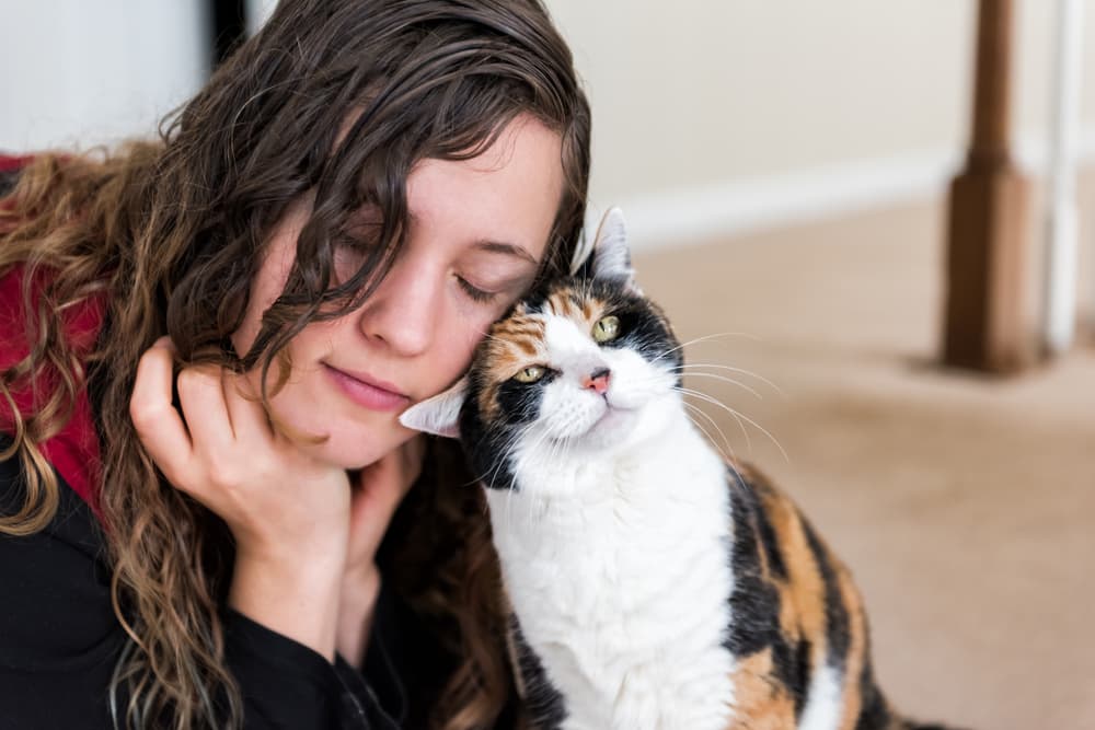 Cat rubbing face against woman