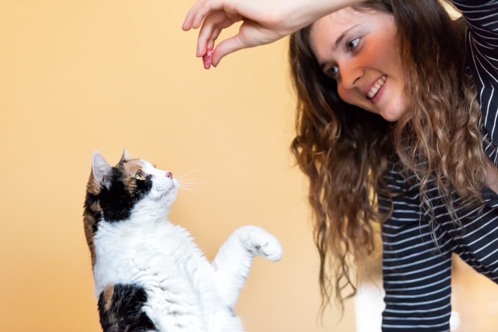 Woman training her cat