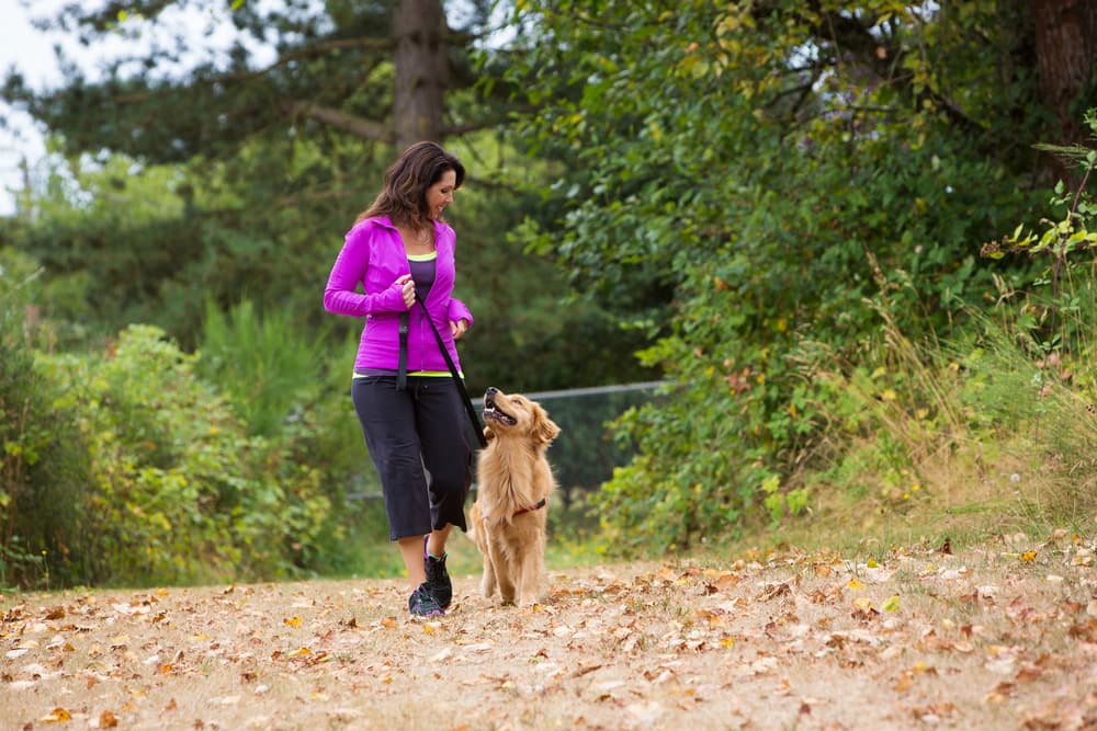 Woman exercising with dog