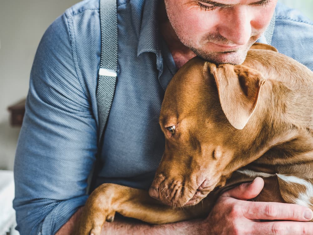 15 Signs Your Dog Isn’t Getting Enough Love