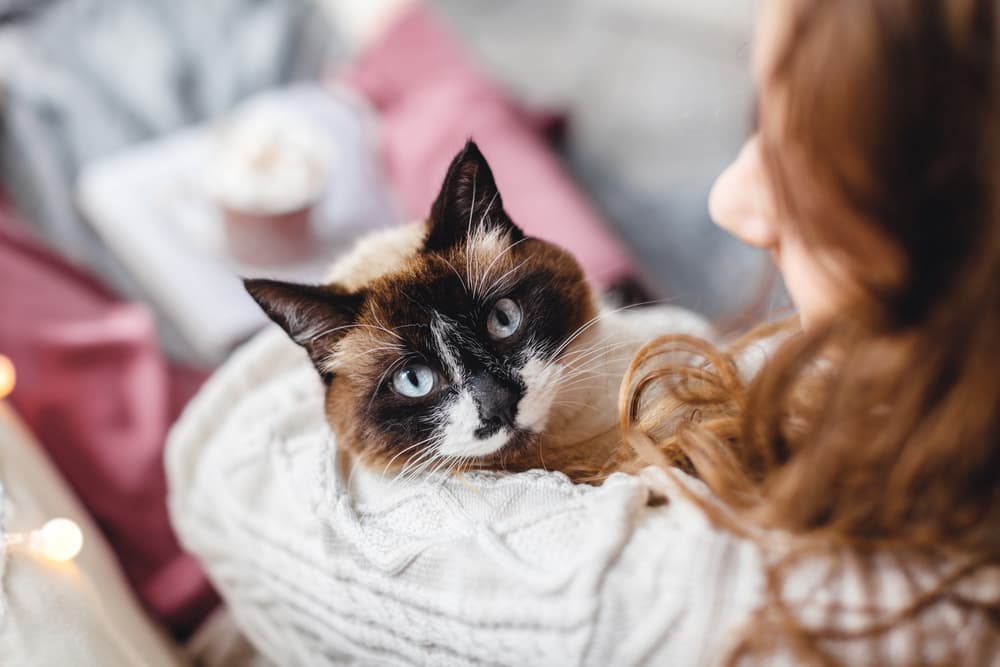 Do Cats Know Their Names?