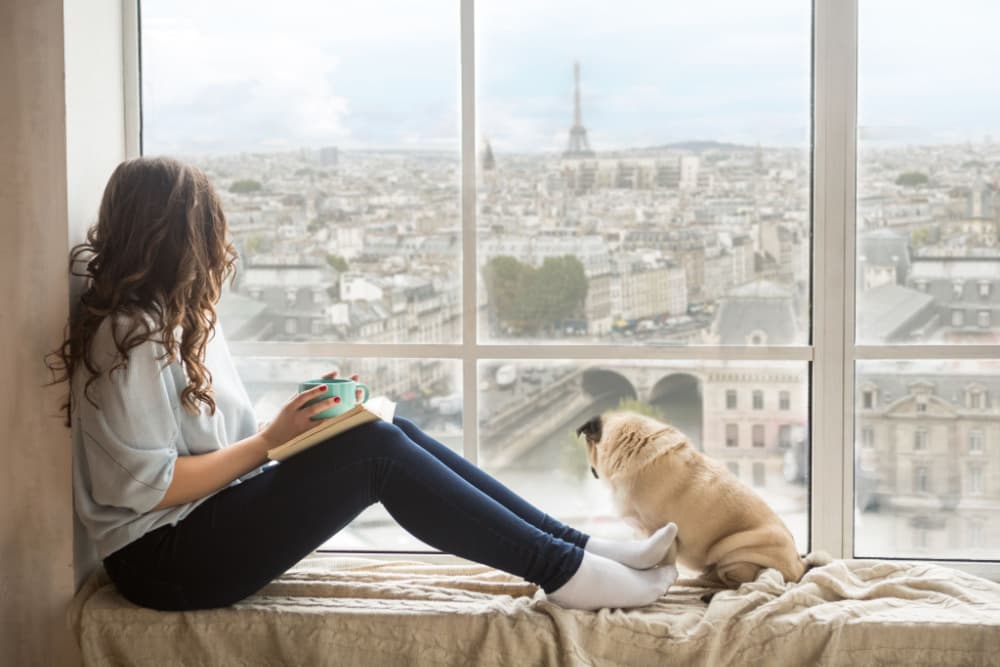 Dog sitting with owner in windowsill looking at France