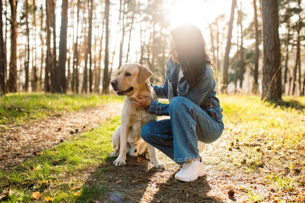 How to Help a Dog Lose Weight: 7 Effective Methods