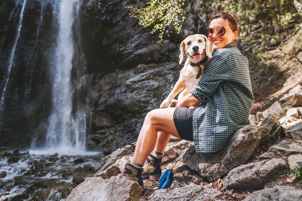 Dog walking on a hike by a waterfall with owner