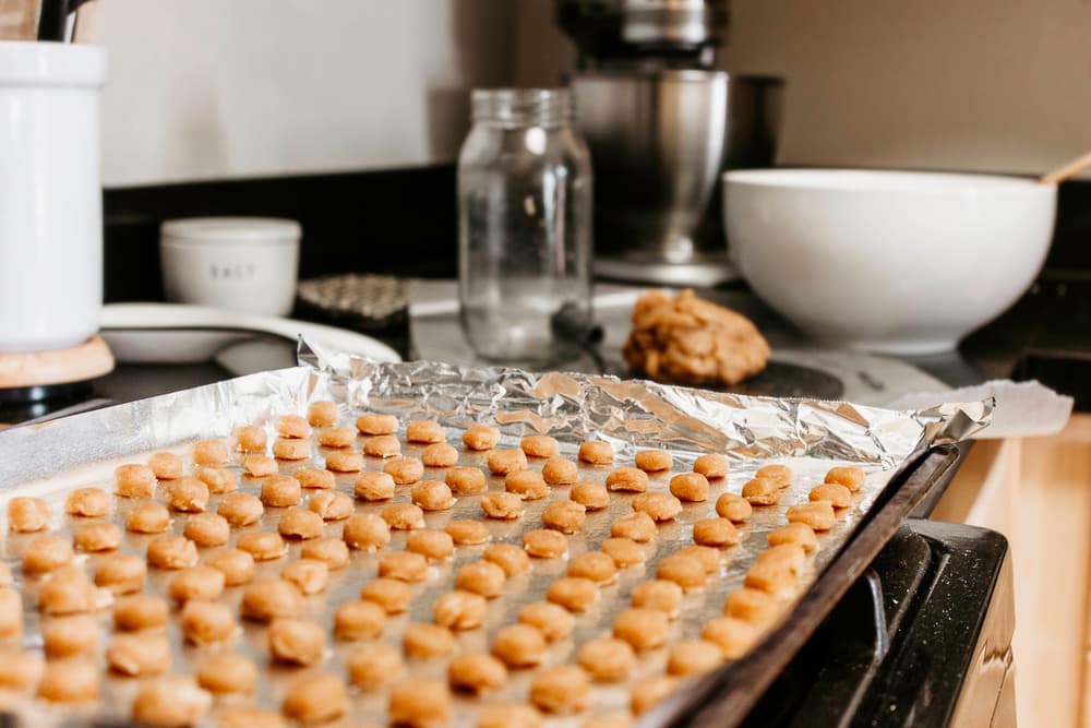 Homemade cat treats ready to bake in oven
