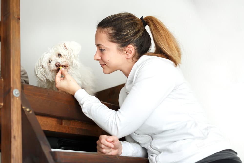 Woman giving dog treat at night