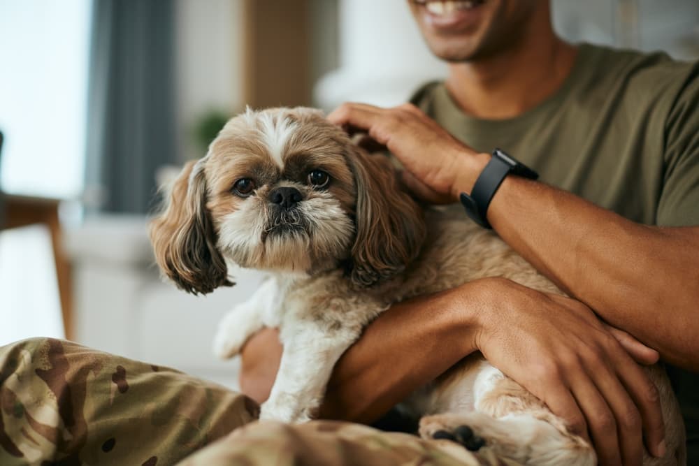 Man holding Shih Tzu dog