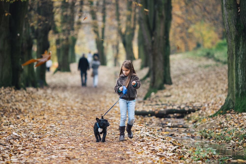 Girl walking dog on path in fall