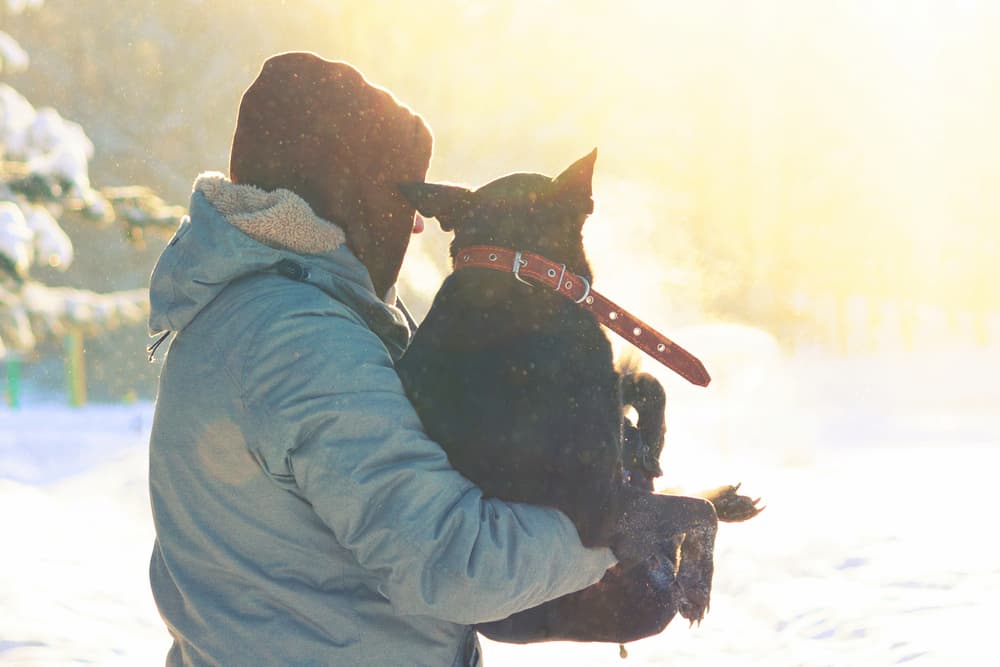 Man carrying dog in snow