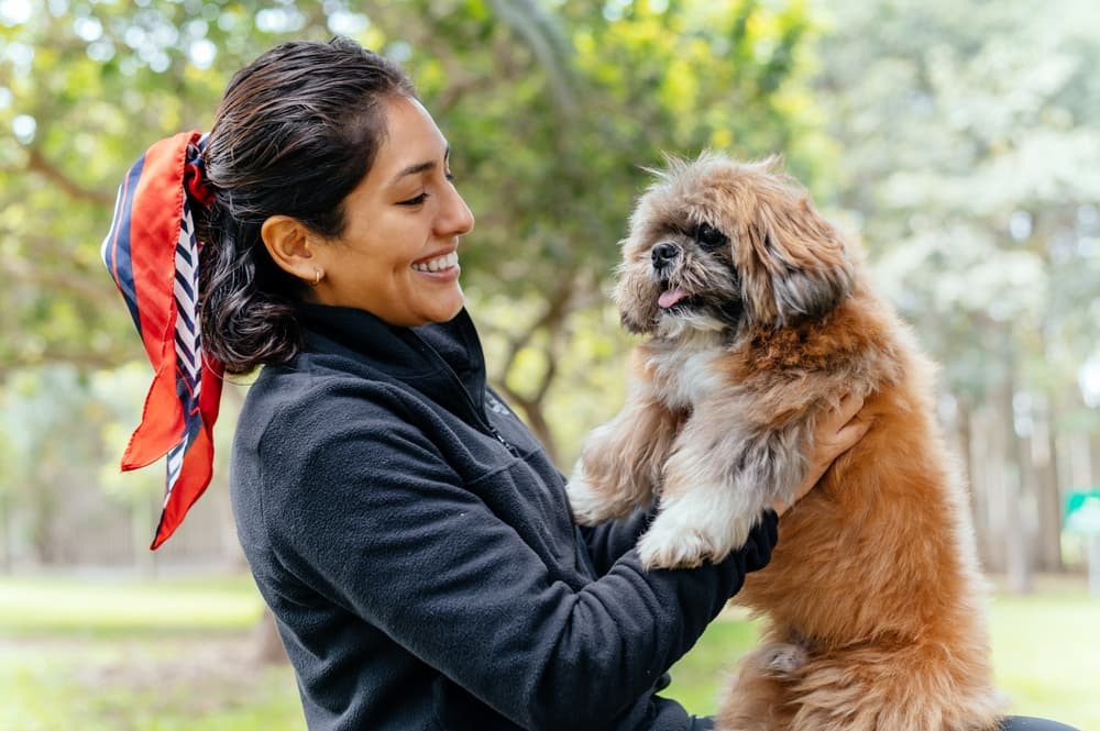 Woman holding adult Maltipoo that she adopted