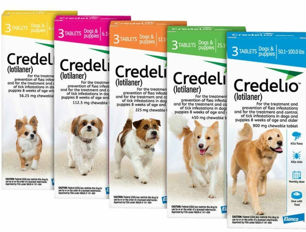 Credelio for Dogs
