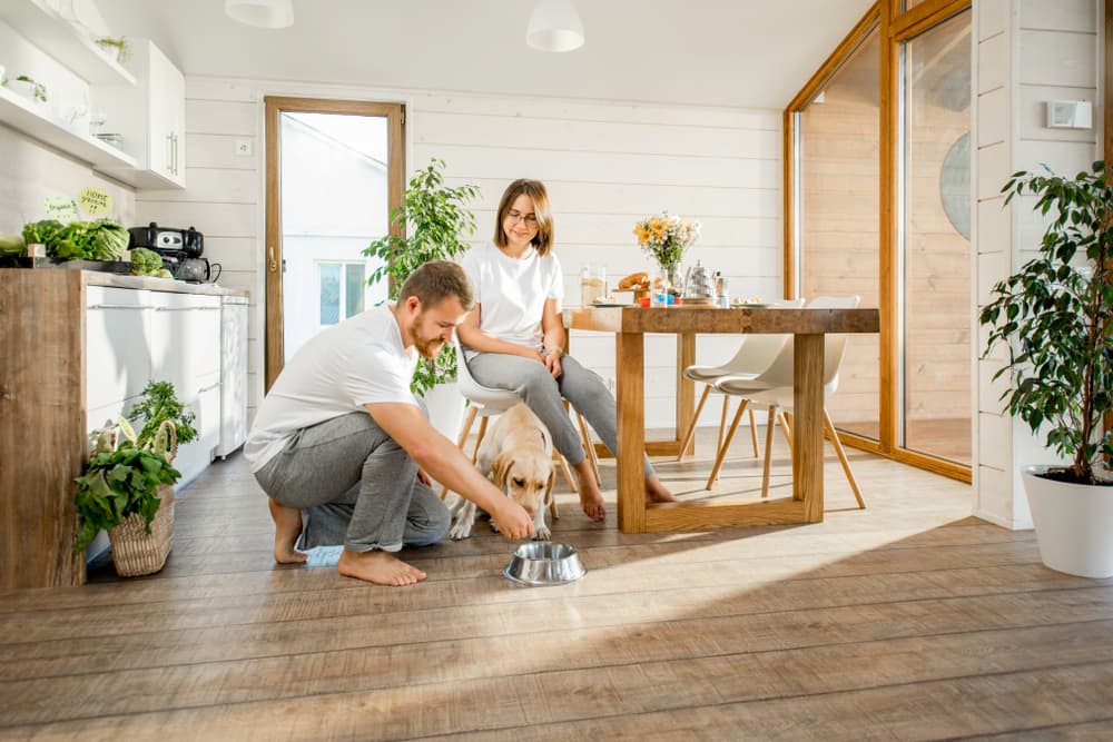 Couple feeding dog