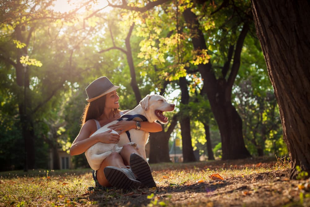 Best Dewormer for Dogs: 5 Vet-Approved Picks