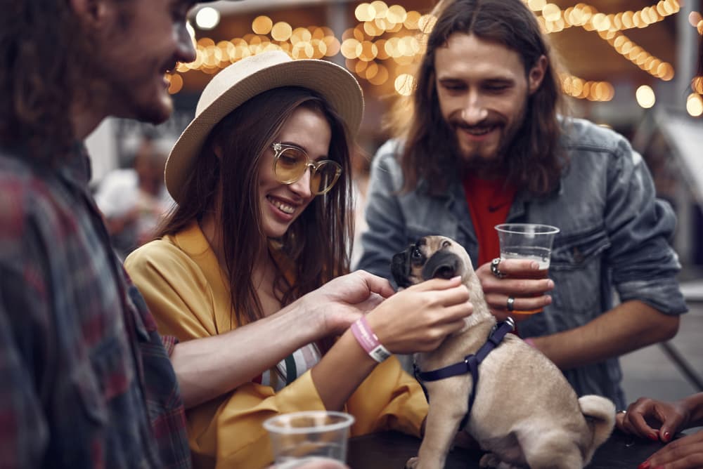 Can Dogs Drink Alcohol?